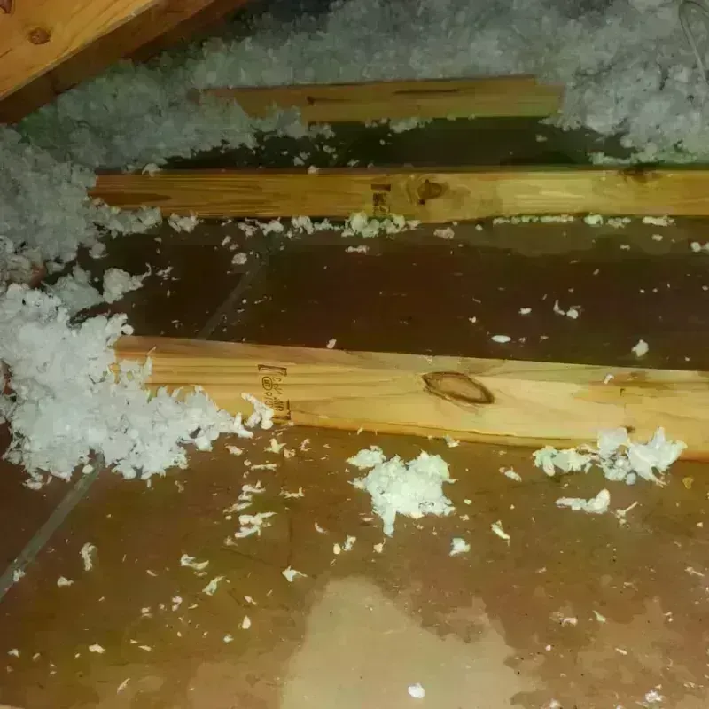 Attic Water Damage in Bajandas, PR